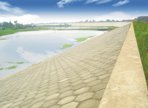 ������Ԥ�ƿ黤�£�ҩ������2�꣩