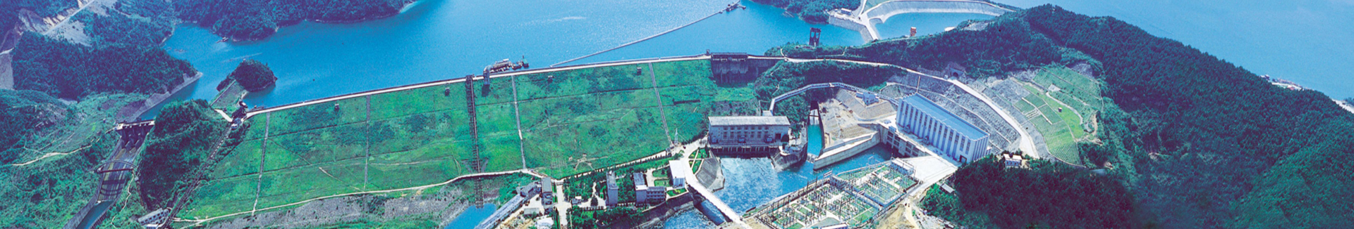 ������Ѷ