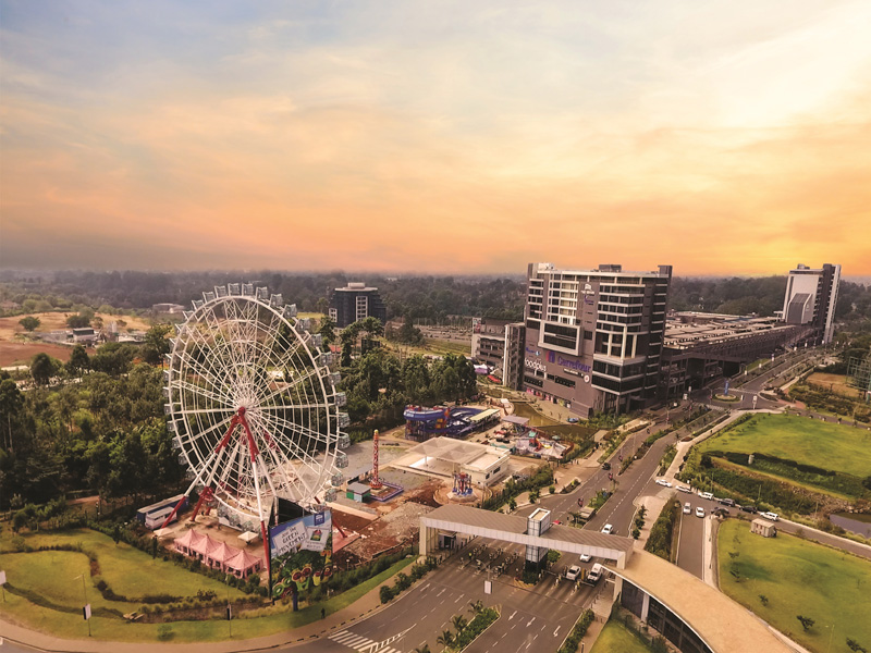 ������˫��Ͷ����Ŀ